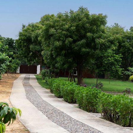 Stayvista At Idyllic Farmhouse - A Glasshouse With Outdoor Pool グルガウン エクステリア 写真
