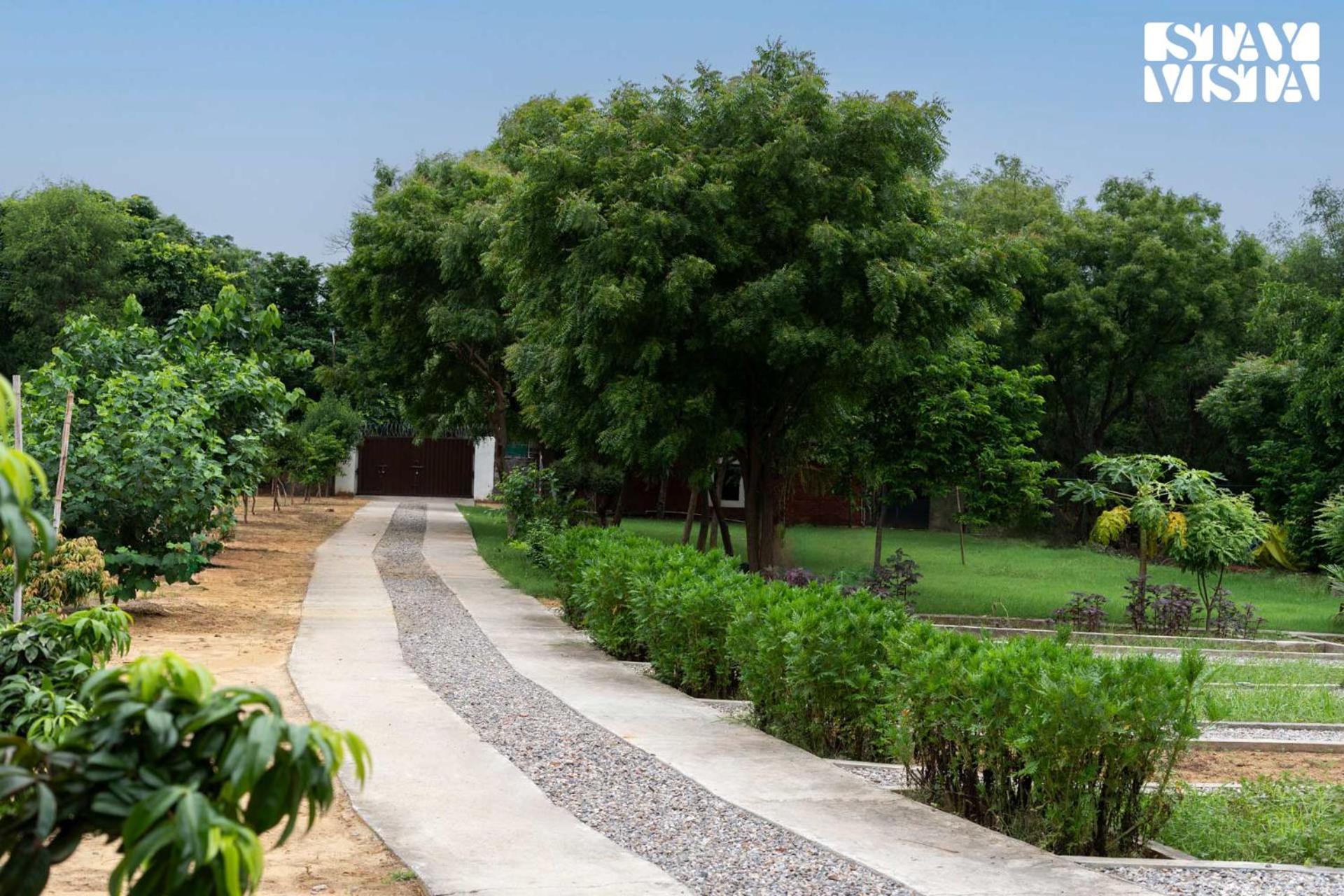 Stayvista At Idyllic Farmhouse - A Glasshouse With Outdoor Pool グルガウン エクステリア 写真